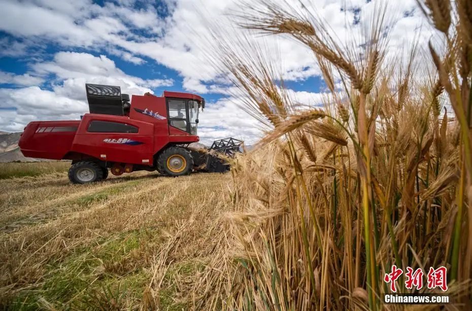 點(diǎn)擊進(jìn)入下一頁(yè)