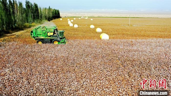 近年來，當(dāng)?shù)孛藁ǚN植戶的生產(chǎn)生活發(fā)生了翻天覆地的變化?！《?攝