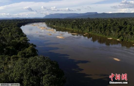 資料圖：亞馬孫雨林內(nèi)的河流。