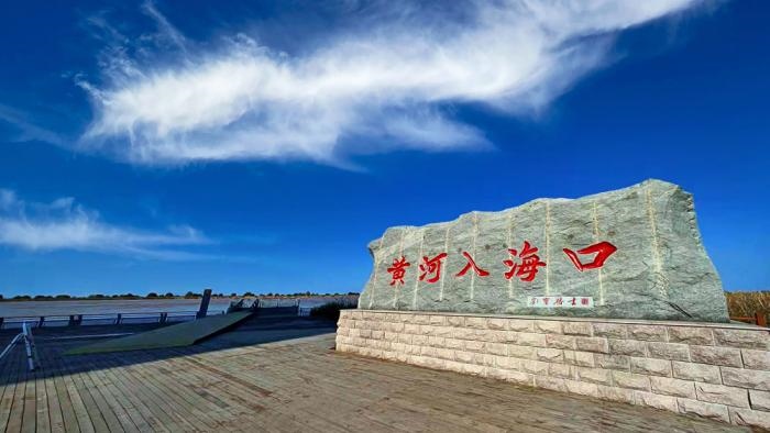 △黃河入海口位于山東東營(yíng)市墾利區(qū)。(總臺(tái)央視記者彭漢明拍攝)