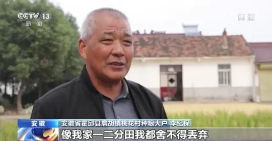 十八連豐！秋收近九成 我國糧食產(chǎn)能穩(wěn)步提升