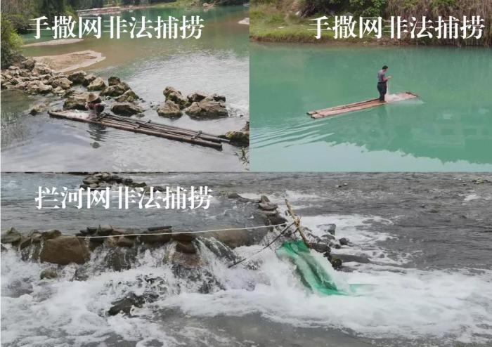 2021年9—10月，前期暗查發(fā)現(xiàn)，保護區(qū)核心區(qū)內(nèi)非法捕撈行為十分猖獗