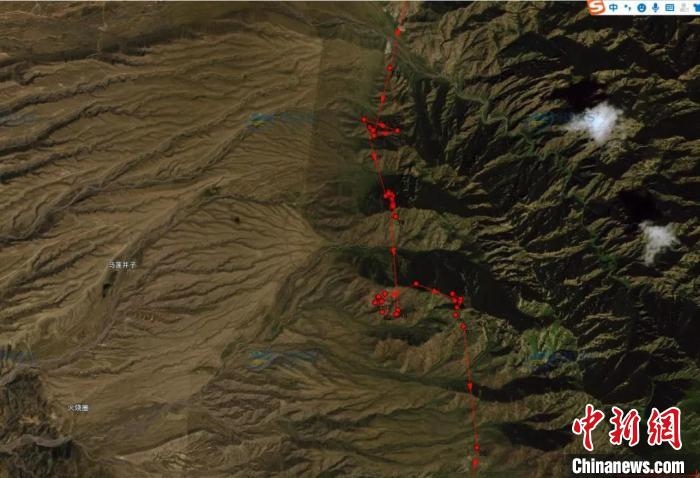 圖為雪豹故地重游來到放歸地的足跡。　內(nèi)蒙古賀蘭山國家級自然保護(hù)區(qū)供圖