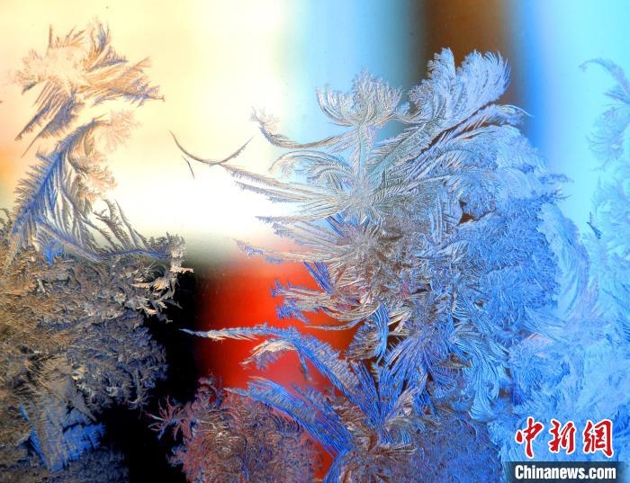 冰窗花千姿百態(tài)。　孫書(shū)程 攝