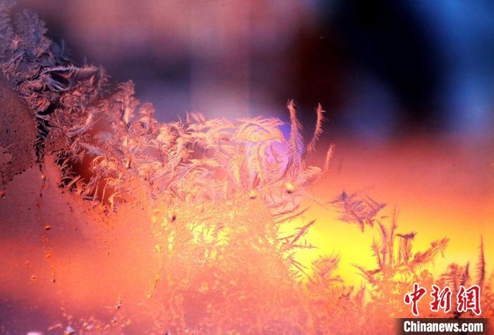 迎著光亮，冰窗花絢麗多姿?！O書(shū)程 攝