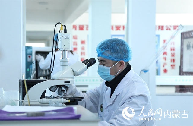 內(nèi)蒙古中農(nóng)興安種牛科技有限公司落戶科右中旗，為肉牛產(chǎn)業(yè)發(fā)展提供了優(yōu)質(zhì)的種源保障。白俊華攝