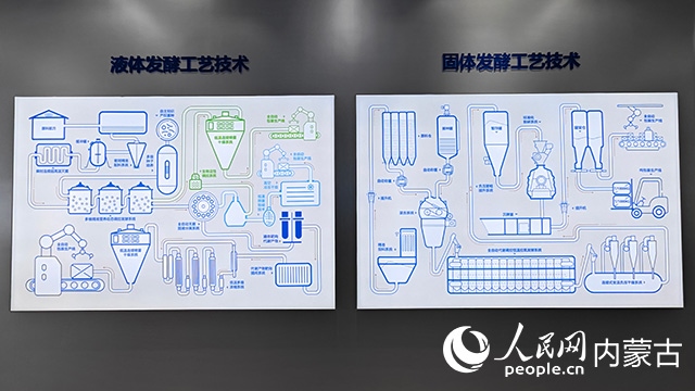 科拓生物工藝技術(shù)展示。人民網(wǎng)記者 張雪冬攝