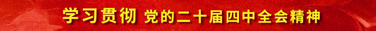 學(xué)習(xí)貫徹黨的二十屆四中全會(huì)精神