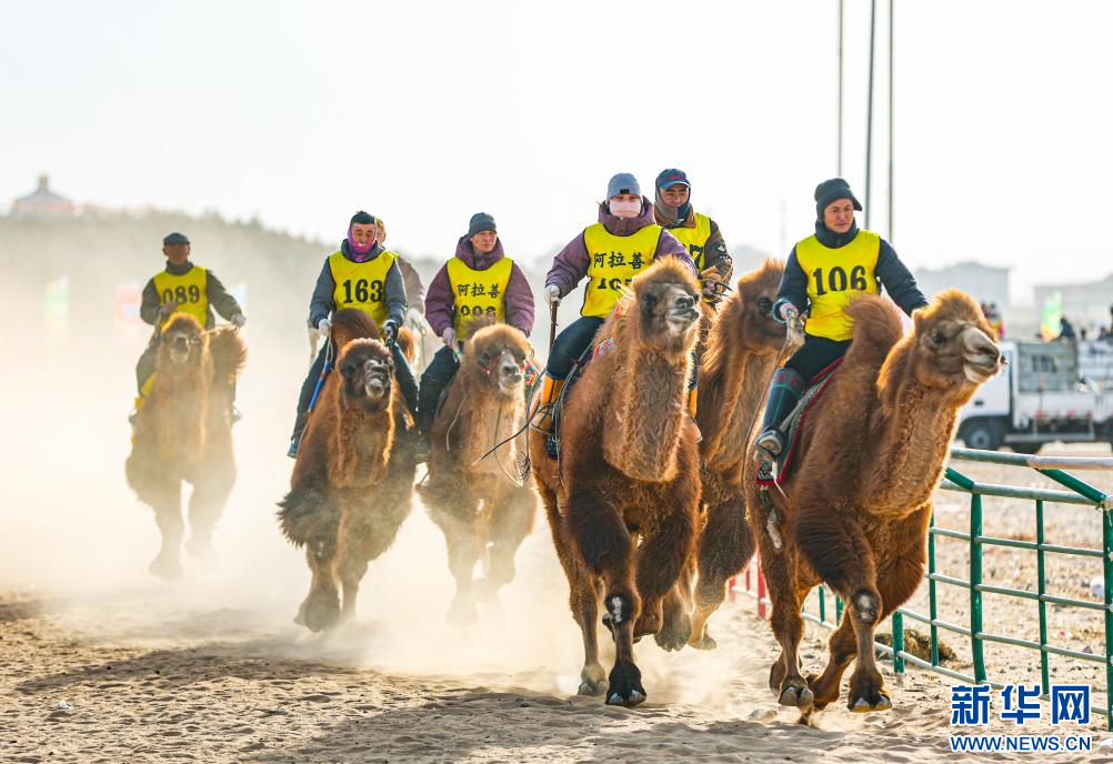 3月7日，賽駝手在6000米成年駱駝場(chǎng)地速度賽比賽中。.jpg