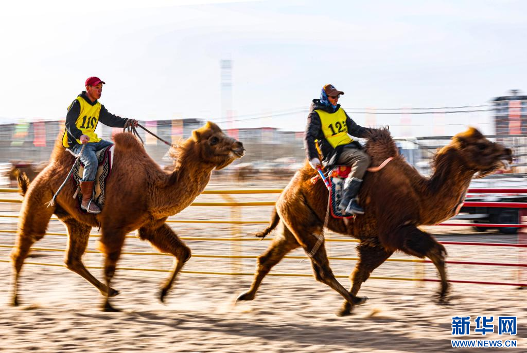 3月7日，賽駝手在6000米成年駱駝場(chǎng)地速度賽比賽中.jpg