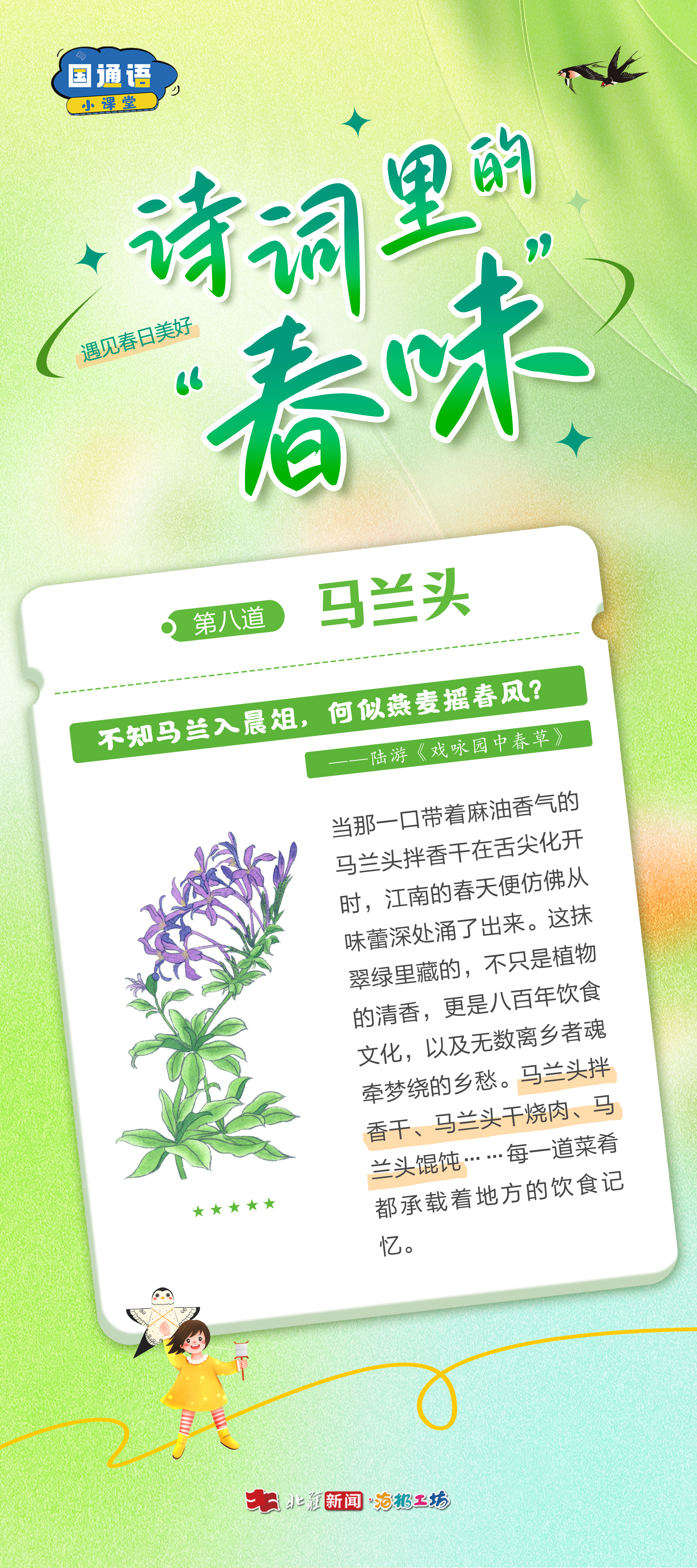 馬蘭頭.jpg