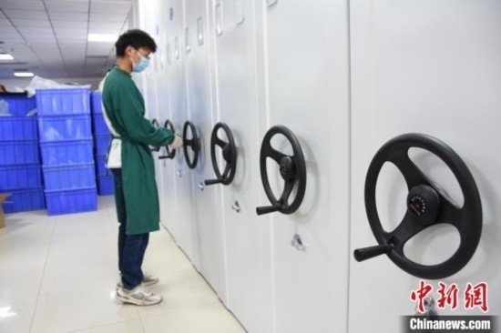 圖為鄭州大學(xué)人骨考古實(shí)驗(yàn)室內(nèi)的骨骼標(biāo)本庫(kù)。王宇 攝