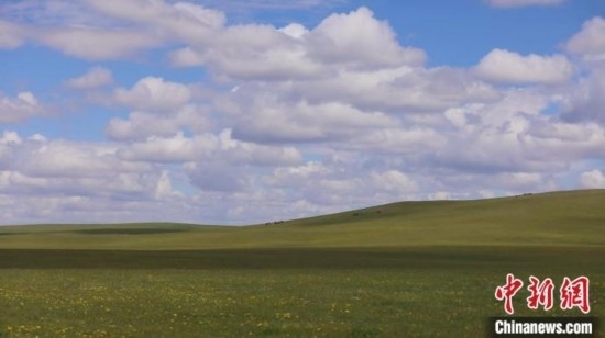 圖為點點新綠在原野上蓄勢待發(fā)。 歐戈 攝