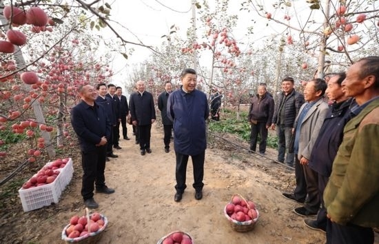 2022年10月26日，習近平總書記在陜西省延安市安塞區(qū)高橋鎮(zhèn)南溝村蘋果園同老鄉(xiāng)們親切交流。