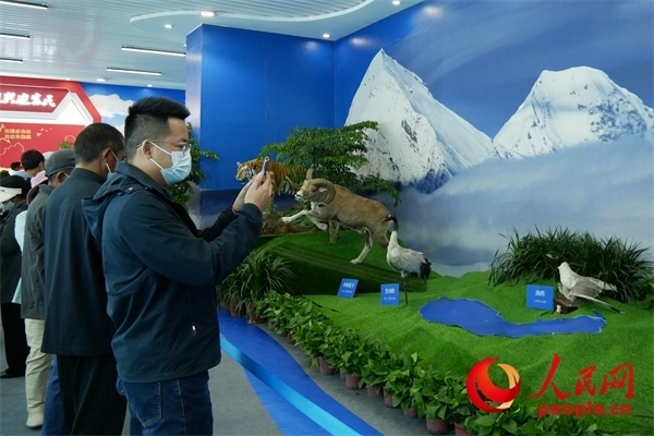 6月17日，觀眾正在觀展。人民網(wǎng) 韋衍行攝