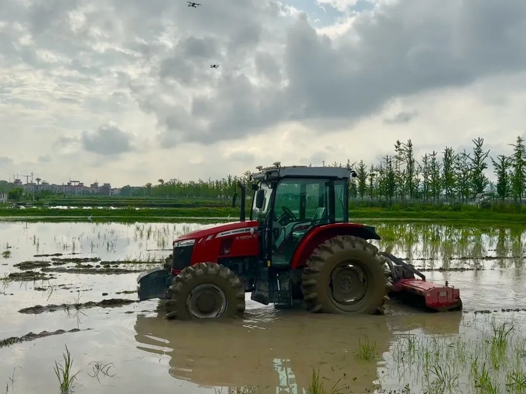 浙江省金華市東陽市城東街道寀盧村的一臺無人駕駛耕地機。靜玄 攝