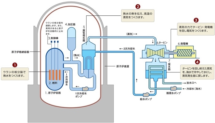 核電站運(yùn)作原理圖。通常的核電站排水未直接接觸核燃料。（圖片來(lái)源：日本北海道電力株式會(huì)社網(wǎng)站）