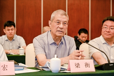 中國林業(yè)生態(tài)作家協(xié)會名譽主席梁衡發(fā)言。主辦方供圖