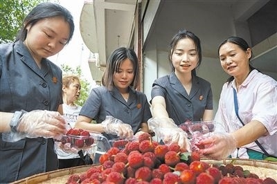 志愿者和村民一起將摘下的楊梅裝進食品盒里。