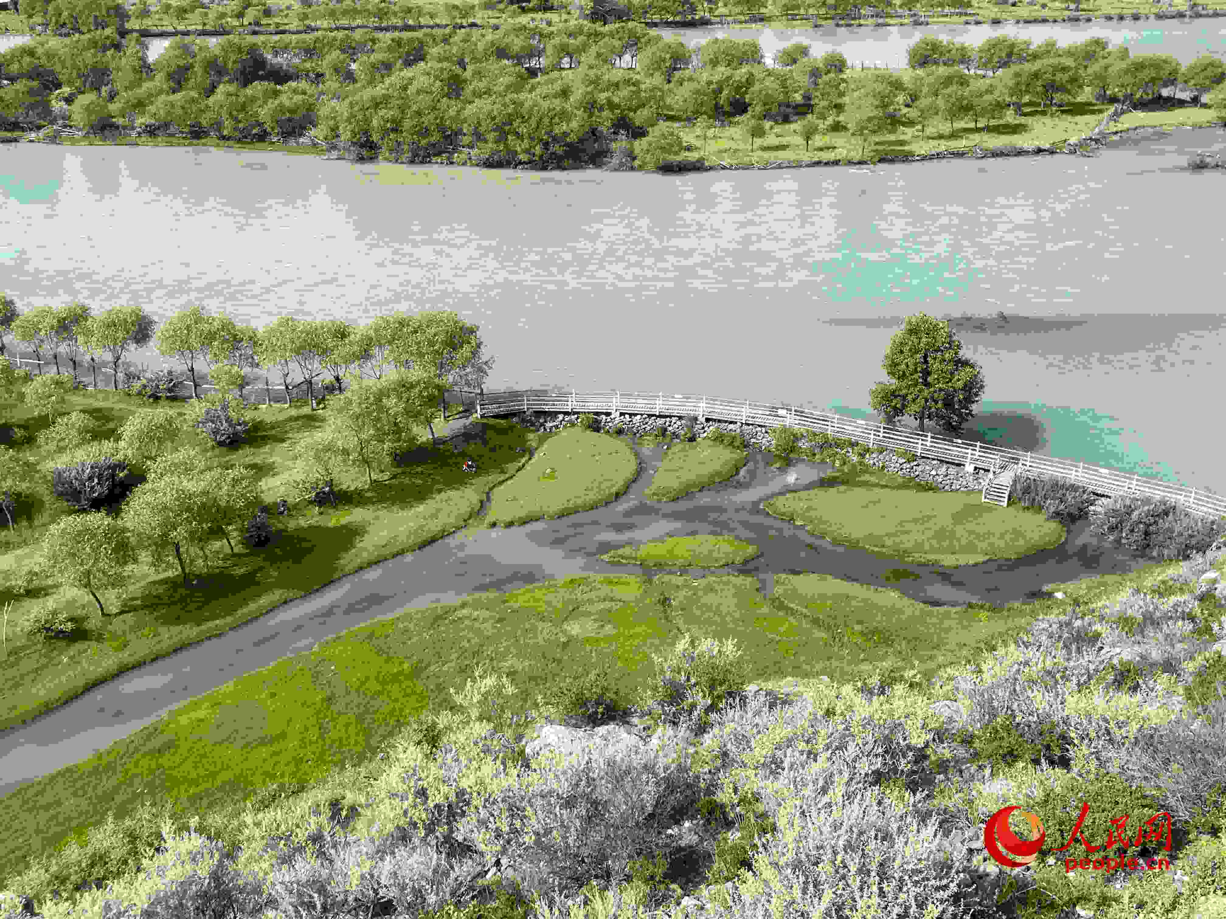 夏日的雅尼國(guó)家濕地公園生機(jī)盎然，如詩(shī)如畫(huà)。人民網(wǎng) 周靜圓攝