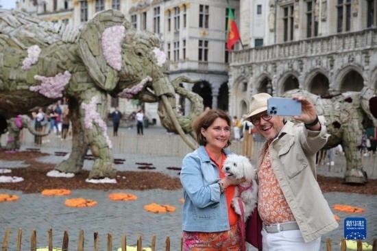 8月11日，觀眾在比利時布魯塞爾“鮮花時光”展覽上拍照。新華社記者 趙丁喆攝