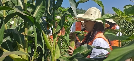 北京工商大學(xué)組織學(xué)生開展暑期社會實(shí)踐。學(xué)校供圖