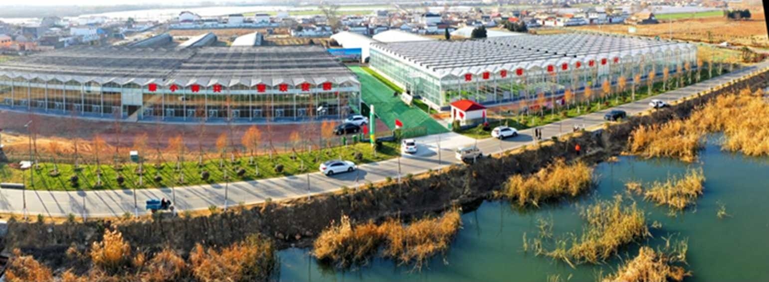 白樓灣三產(chǎn)融合發(fā)展。宋道森攝