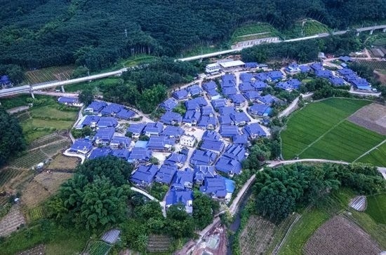 磨憨鎮(zhèn)曼莊村大龍哈小組現(xiàn)代化邊境幸福村新貌。人民網(wǎng)記者 符皓攝