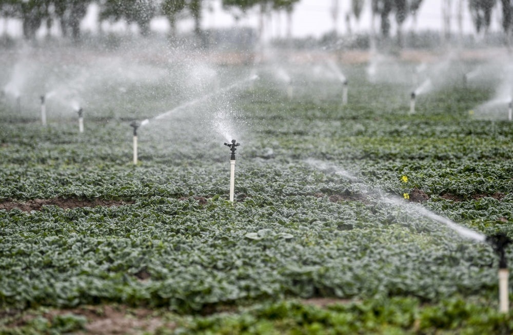 2023年5月25日，在寧夏銀川市永寧縣望洪鎮(zhèn)宋澄村冷涼蔬菜種植基地，小型噴灌節(jié)水設(shè)備在進行噴灌作業(yè)。新華社記者 馮開華 攝