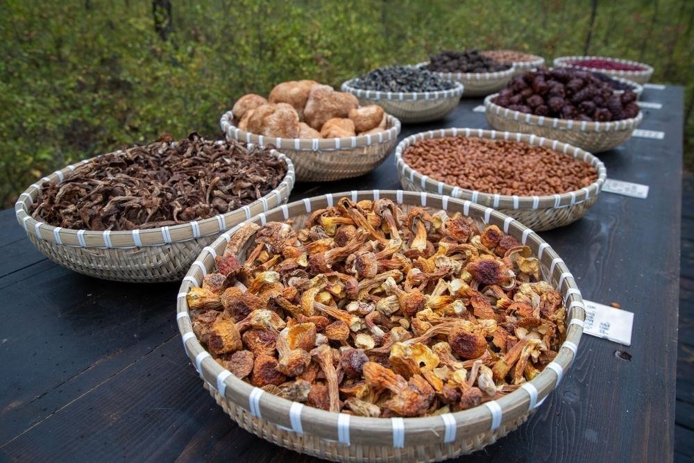 △近日，漠河市北極村一景區(qū)展示的林下產品。