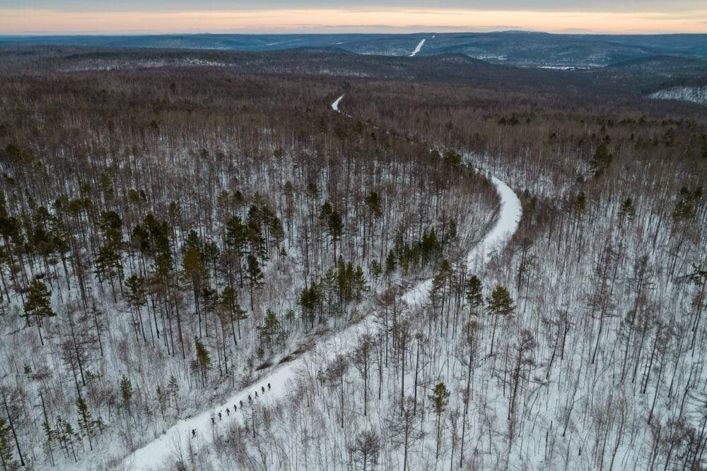 △2023年1月，漠河林場數(shù)十名職工自發(fā)組成的森林撫育隊伍，在人跡罕至的山林中作業(yè)。