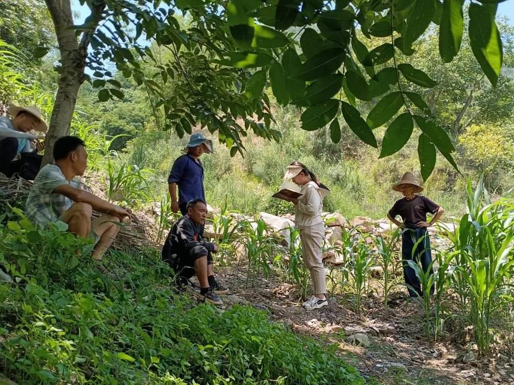 2023年7月18日，兩家村民發(fā)生土地方面的糾紛，李江女（右二）在記錄情況。受訪者供圖