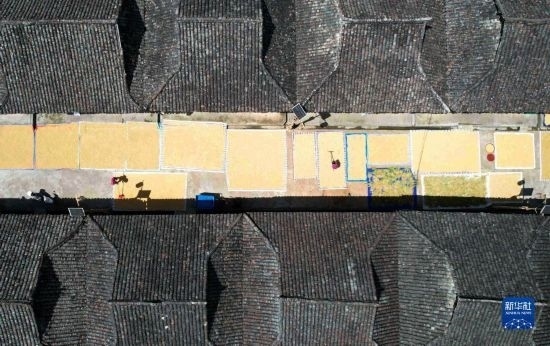 9月16日，在貴州省黔東南苗族侗族自治州從江縣加勉鄉(xiāng)污扣村，村民在晾曬稻谷（無人機(jī)照片）。