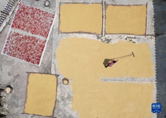 9月16日，村民在貴州省黔東南苗族侗族自治州施秉縣馬溪鄉(xiāng)王家坪村晾曬稻谷（無人機(jī)照片）。