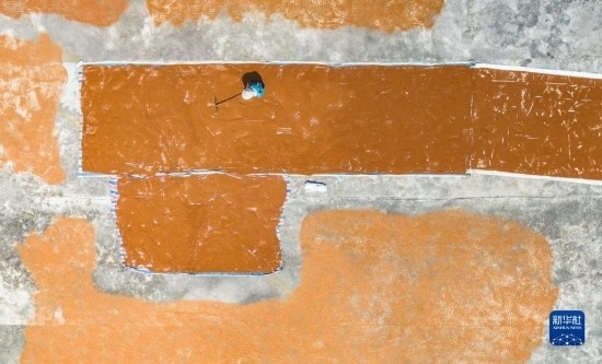 9月16日，農(nóng)民在貴州省安順市西秀區(qū)大西橋鎮(zhèn)吉昌村晾曬高粱（無人機(jī)照片）。