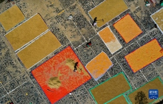 9月16日，貴州省黔東南苗族侗族自治州丹寨縣南皋鄉(xiāng)石橋村村民在晾曬農(nóng)作物（無人機(jī)照片）。