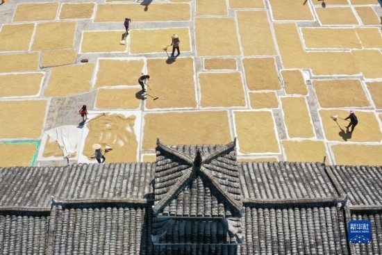 9月16日，村民在貴州省黔東南苗族侗族自治州從江縣剛邊壯族鄉(xiāng)三聯(lián)村晾曬稻谷（無人機(jī)照片）。