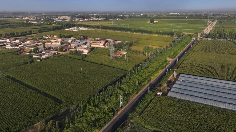 東興村周邊建起防護林網(wǎng)（無人機照片，2023年9月12日攝）。新華社記者李云平 攝