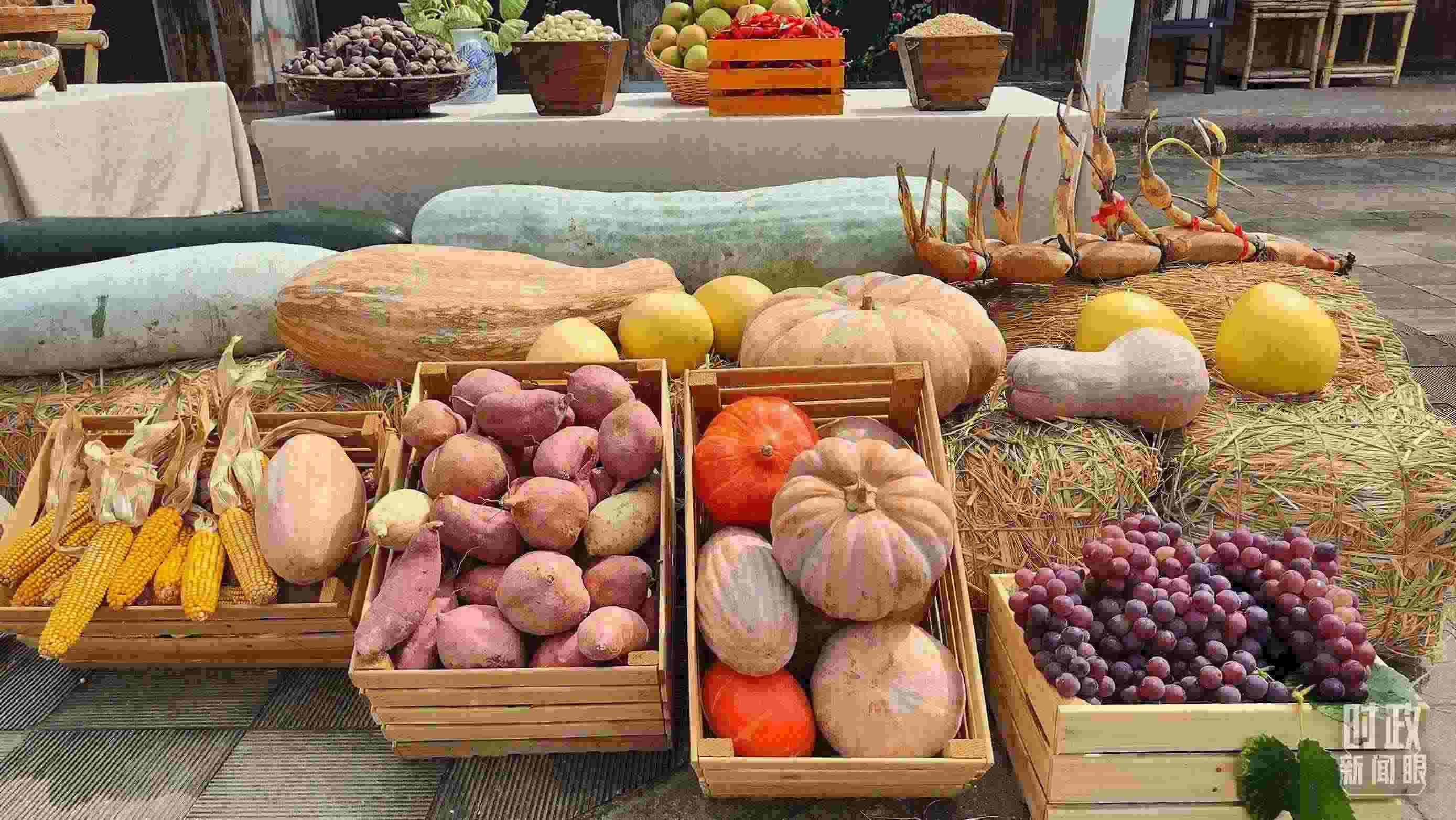△村廣場“共富市集”，擺放著種類豐富的特色農(nóng)產(chǎn)品。（總臺央視記者楊立峰拍攝）