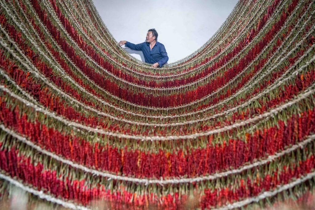 在貴州省畢節(jié)市大方縣理化鄉(xiāng)金雞村，村民查看辣椒烘干情況。新華社發(fā) 羅大富攝