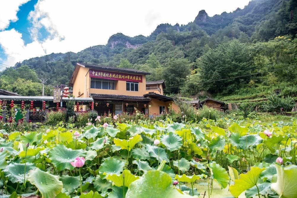 這是8月28日拍攝的華溪村村民開設(shè)的農(nóng)家樂外景。新華社記者 唐奕 攝