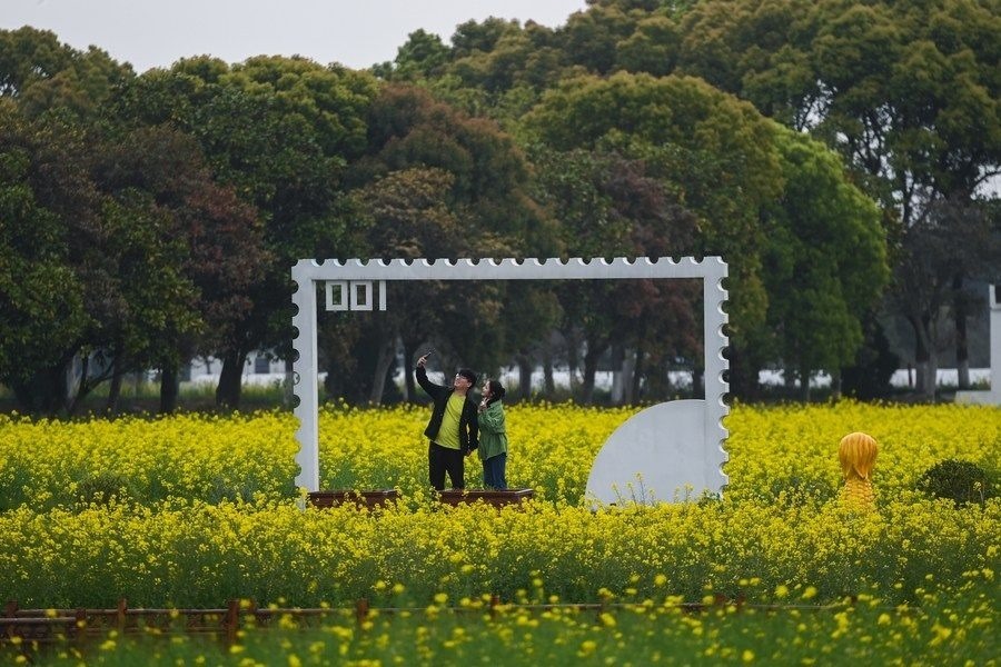  游客在浙江嘉興市秀洲區(qū)王店鎮(zhèn)鎮(zhèn)中村的“青青樂(lè)地”農(nóng)耕文化園內(nèi)游玩（2023年4月3日攝）。