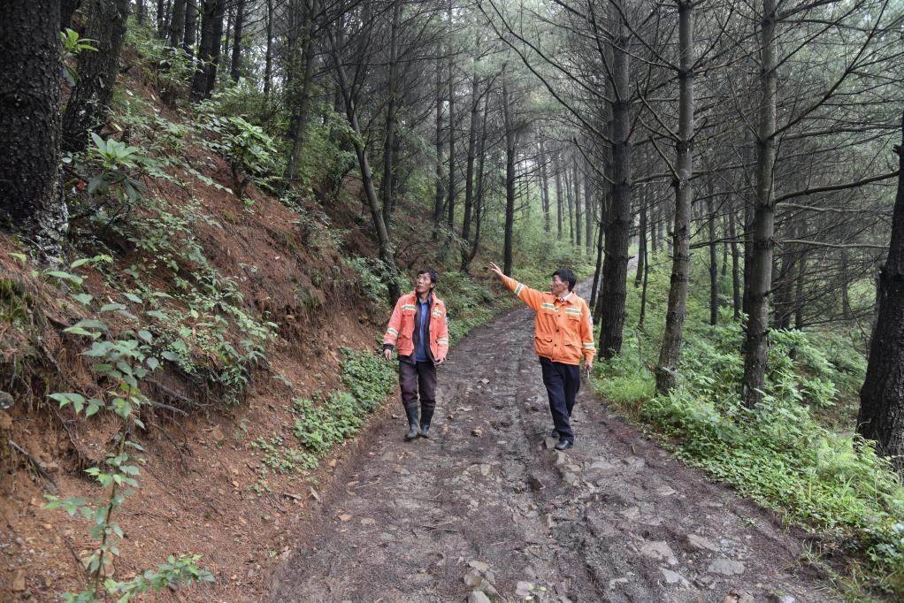 海雀村生態(tài)護(hù)林員馬正安（左）和海雀村林管員王光德（右）在日常巡山護(hù)林。新華社記者 李凡 攝
