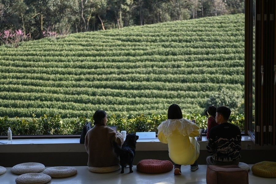 游客在浙江省安吉縣黃杜村萬(wàn)畝茶園邊的咖啡館休閑（2023年2月21日攝）。