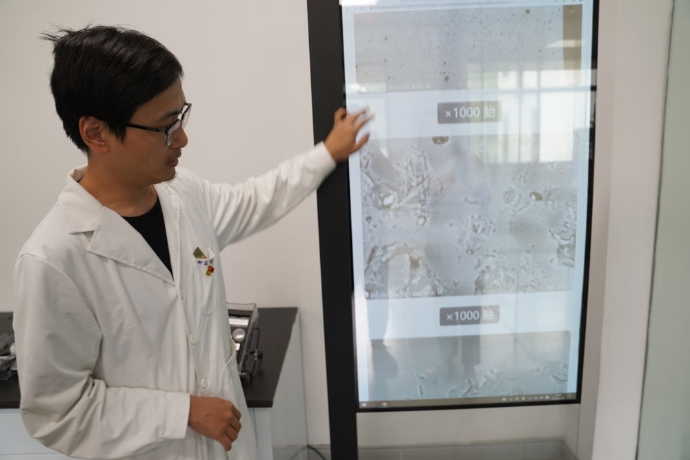 ↑ 工作人員展示瓷片標(biāo)本的配方研究數(shù)據(jù)（2023年5月16日攝）。