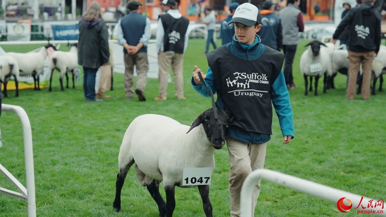 烏拉圭第118屆普拉多牧農(nóng)業(yè)國際博覽會現(xiàn)場。人民網(wǎng)記者 張若涵攝