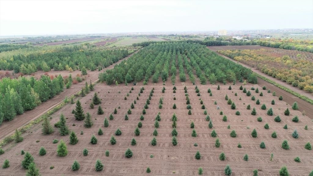 這是2023年9月11日在哈薩克斯坦首都阿斯塔納拍攝的一處植物種質(zhì)資源苗圃（無人機照片）。新華社發(fā)（法爾哈特·圖克諾夫 攝）