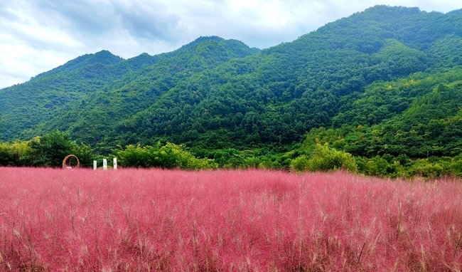 寶成線鳳縣境內(nèi)的路邊。