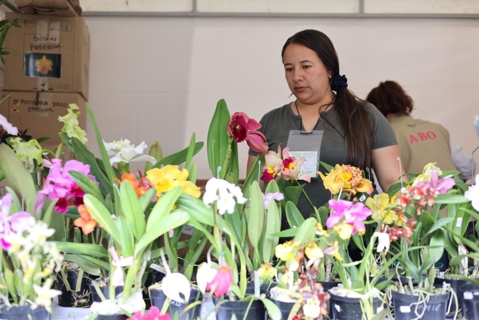 9月14日至17日，哥倫比亞首都波哥大舉辦蘭花展。