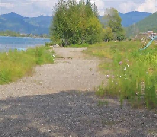 王軍所說被填區(qū)域。 人民網(wǎng)記者 黃鈺攝